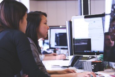 web development website gauteng freestate